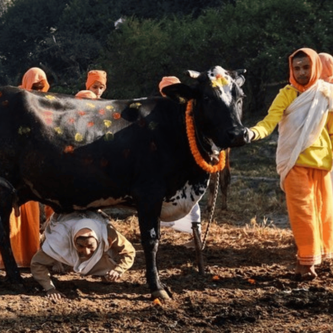 Gaupuja
